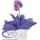 Comprar Orquídea Phalaenopsis no Cachepô