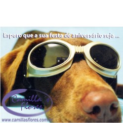 Ampliar: Cartão Importado: Gogle Dog