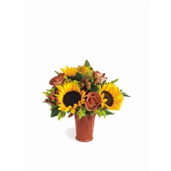 Ampliar: Bouquet Eden