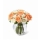 Comprar Bouquet Riviera