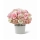Comprar Bouquet Hamlet Deluxe