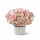 Comprar Bouquet Hamlet Premium