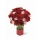 Comprar Bouquet Victoria Premium