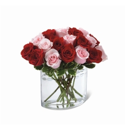 Ampliar: Bouquet Boston