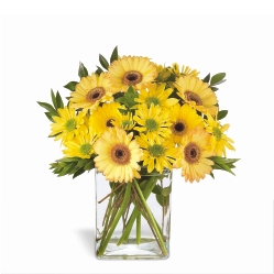 Ampliar: Bouquet San Jose