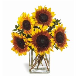 Ampliar: Bouquet Sunnyside