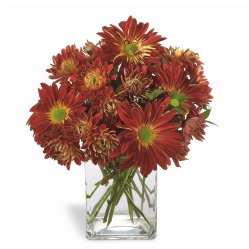 Ampliar: Bouquet Erie