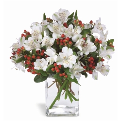 Ampliar: Bouquet Everett