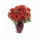 Comprar Bouquet Cape Town
