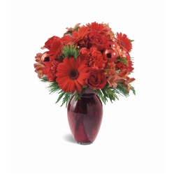 Ampliar: Bouquet Cape Town