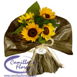 Ampliar: Bouquet Haia