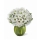 Comprar Bouquet Osaka Deluxe