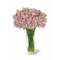 Ampliar: Bouquet Buenos Aires Premium