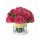 Comprar Bouquet Dallas