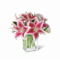Bouquet Hong Kong Deluxe